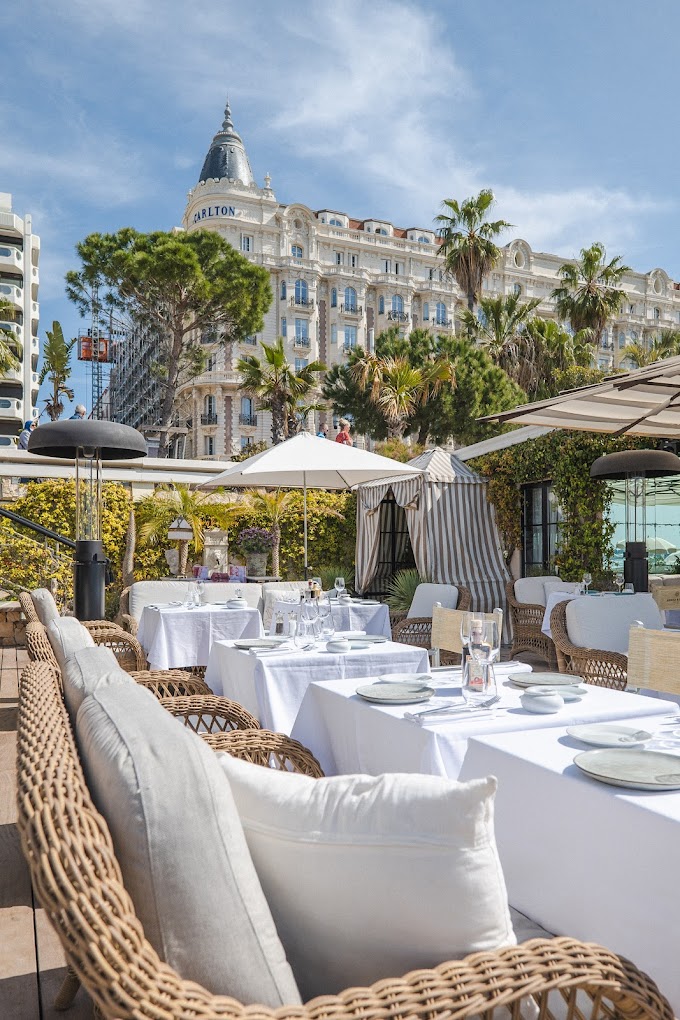 Discover the Annex Beach in Cannes: an exceptional private beach - ATI ...